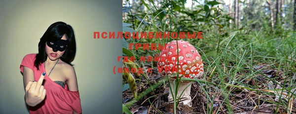 прущие грибы Абдулино