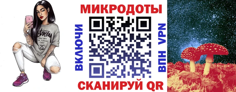 Псилоцибиновые грибы Psilocybe  Полтавская 